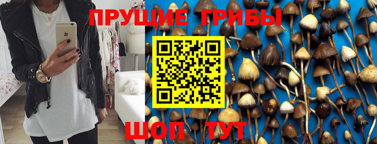 Псилоцибиновые грибы мухоморы Железногорск