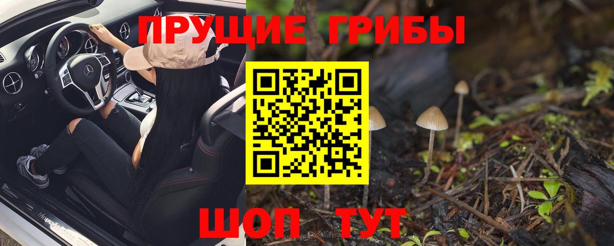 Псилоцибиновые грибы GOLDEN TEACHER  Галлюциногенные грибы Magic Shrooms  Железногорск  Вход с VPN 
