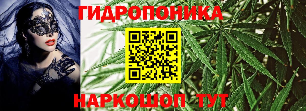 Конопля THC 21%  Бошки марихуана AK-47  Бошки Шишки White Widow  Вход с VPN  Железногорск  Конопля Ganja 